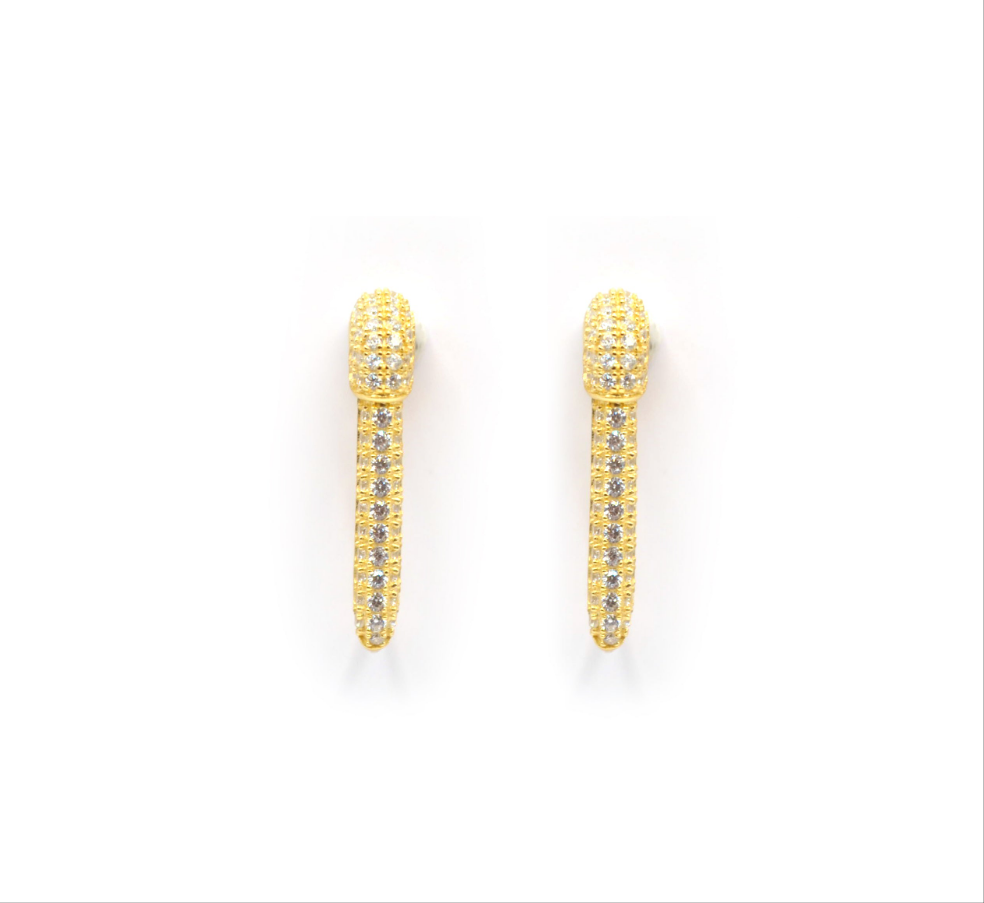 Shiny Pin Earring