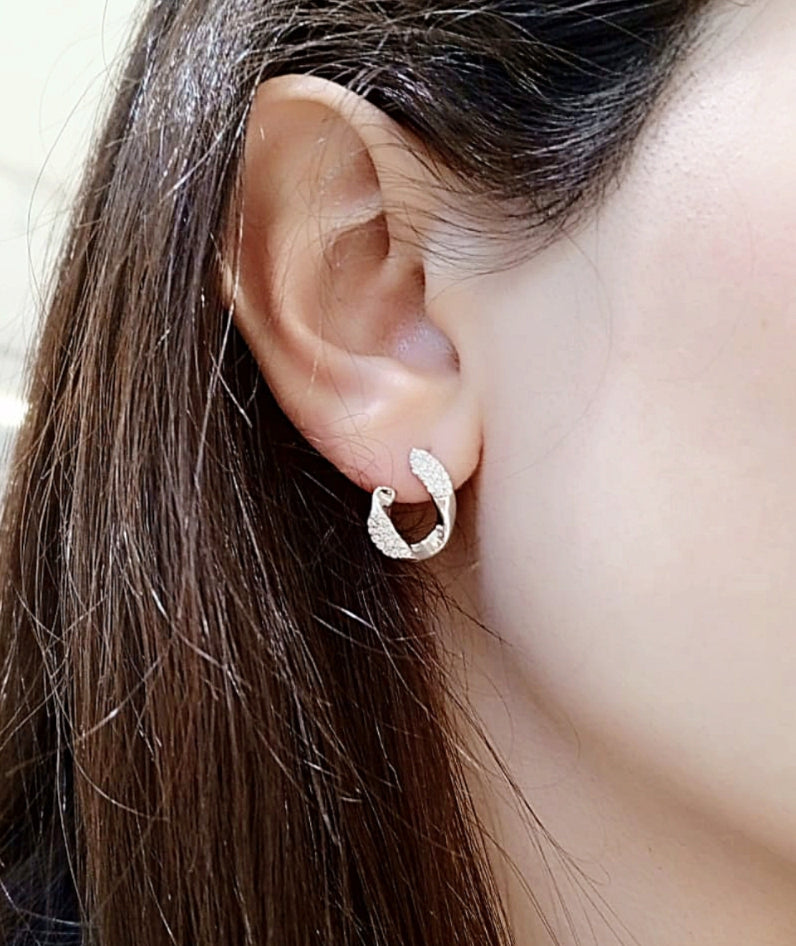 Stylish Hook Earrings