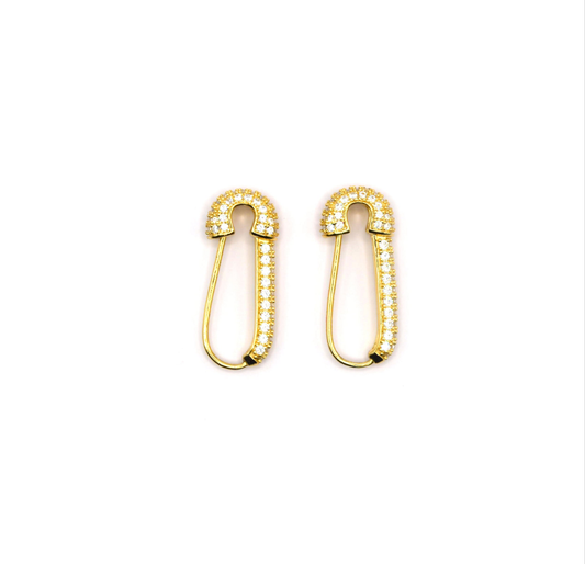 Shiny Pin Earring