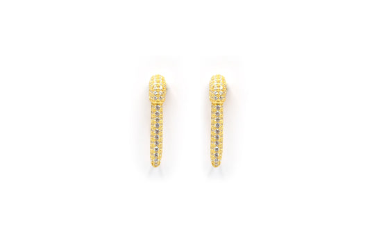 Shiny Pin Earring