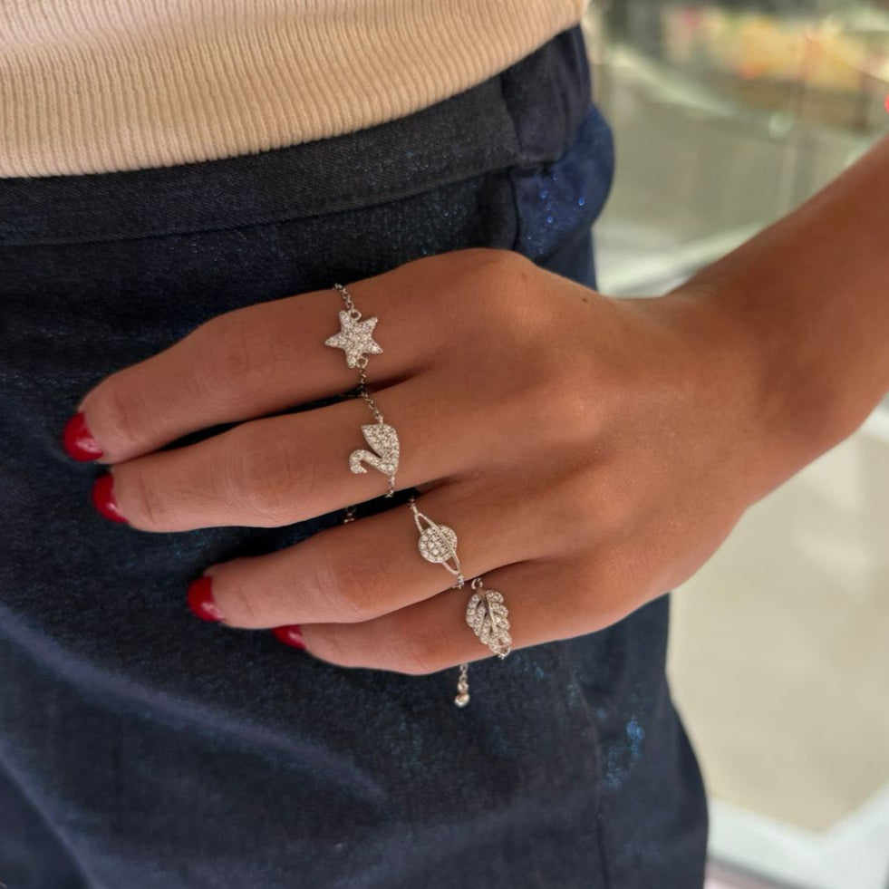 Adjustable Chain Ring