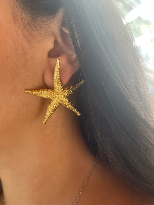 Starfish Earrings